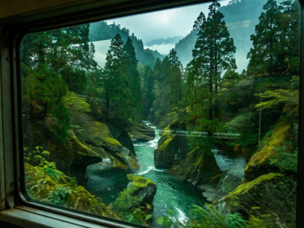 Window frame of a Japanese mountain train reflecting emerald river gorges and cedar trees